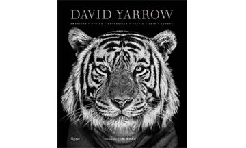 EMERGE represents David Yarrow 